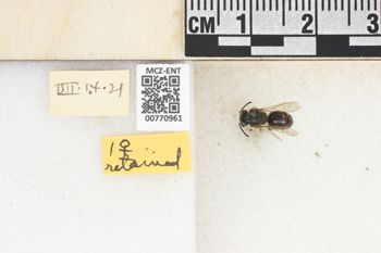 Media type: image;   Entomology 770961 Aspect: Labels